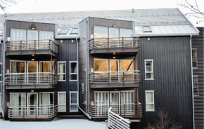 Three-Bedroom Apartment in Hemsedal